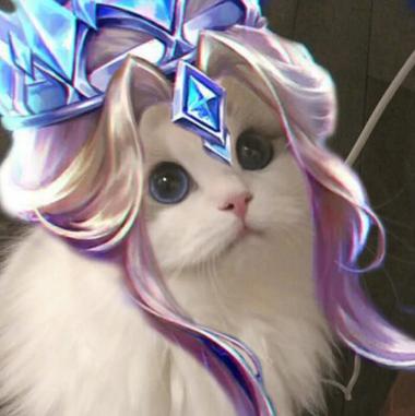 王者荣耀猫咪法师接头有哪些_猫咪法师头像大全