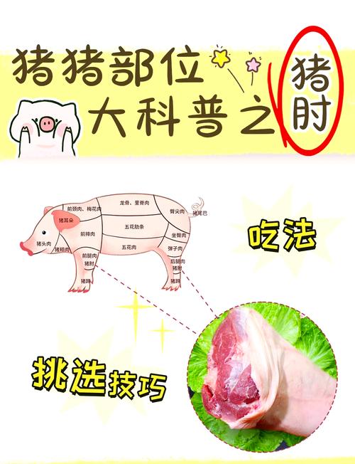 会说话的肘子三部曲从哪部先看