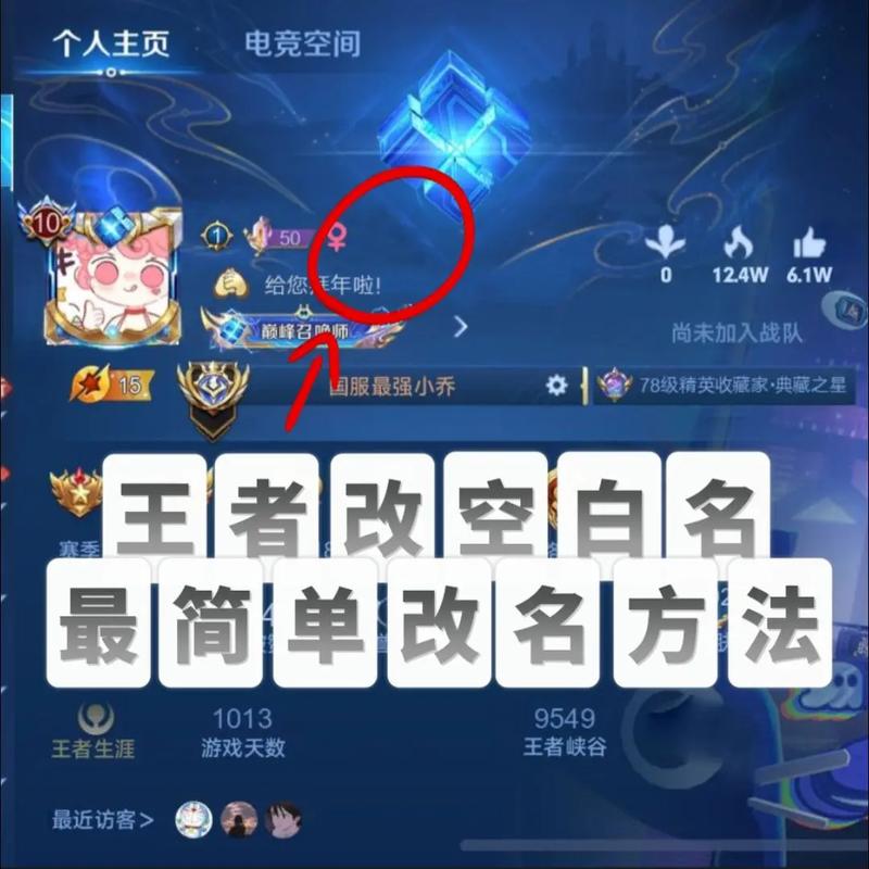 王者荣耀空白id代码复制