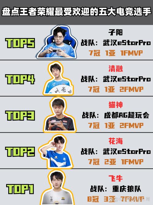 王者荣耀职业选手要求