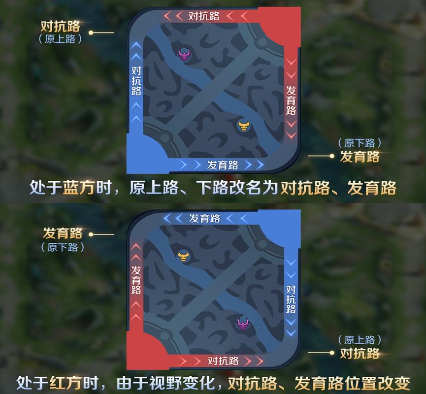 王者荣耀三条路怎么分