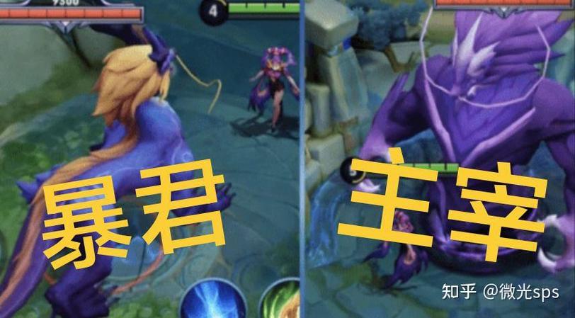 王者荣耀暴君和主宰有什么用