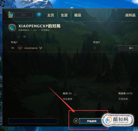 lol守卫皮肤怎么设置(lol怎么设置守卫的皮肤)