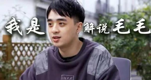 你怎么看解说长毛在直播中辱骂观众这件事?