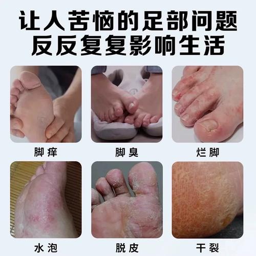 马服是什么意思