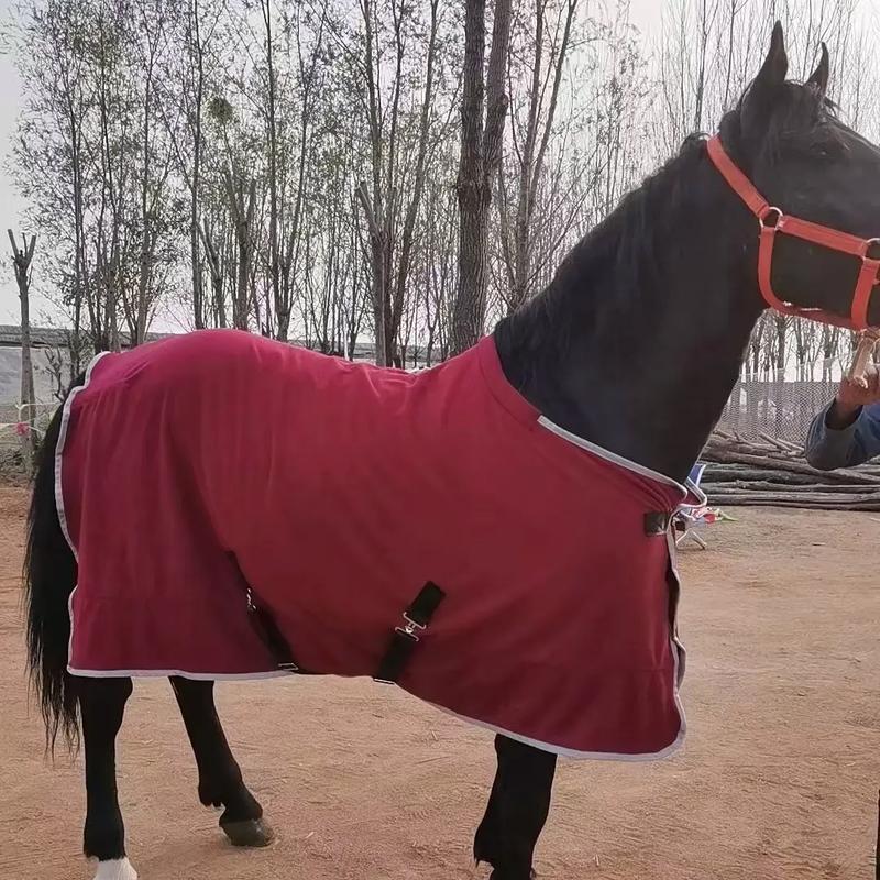 老马啊老马是什么梗?