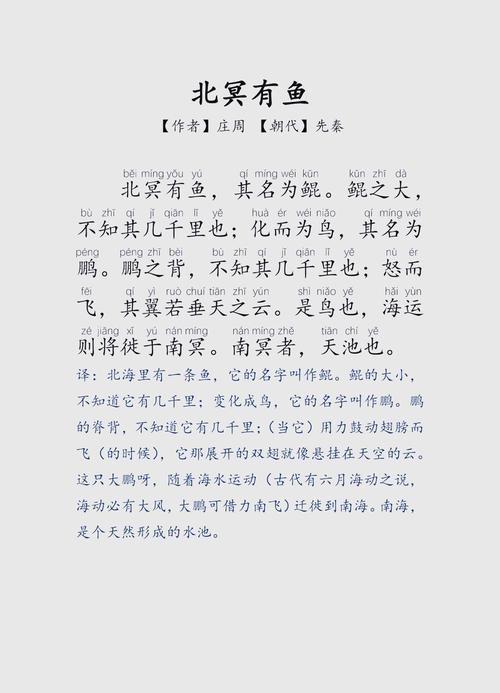 王者荣耀蝴蝶是我,我就是蝴蝶—庄周新手攻略