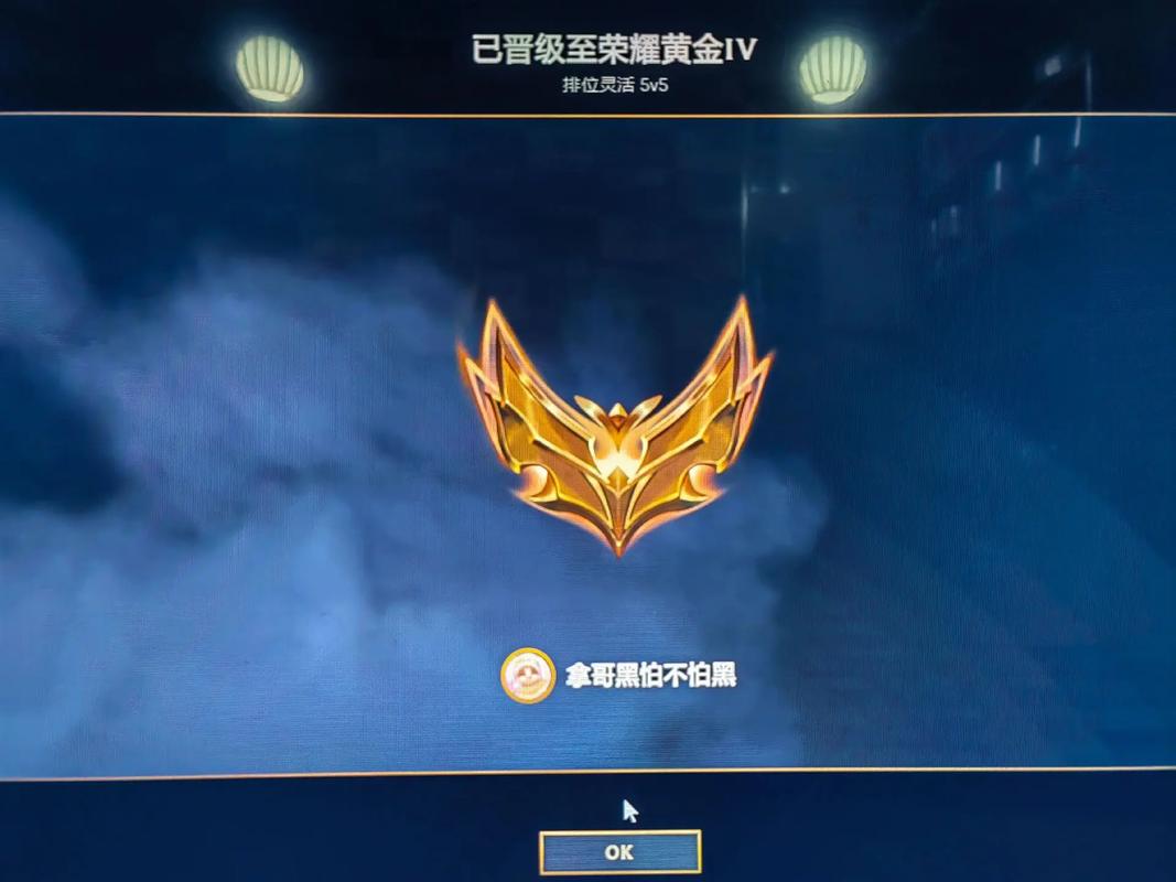 英雄联盟手游段位有个金色标志是什么