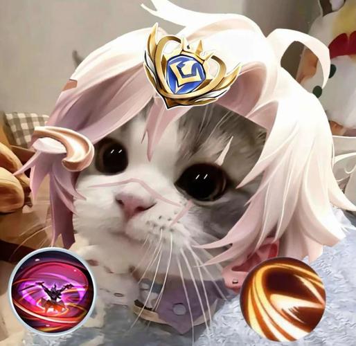 王者荣耀猫咪达摩头像大全-王者荣耀猫咪达摩头像汇总