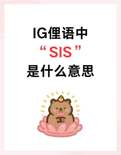 ig是哪个国家的战队?