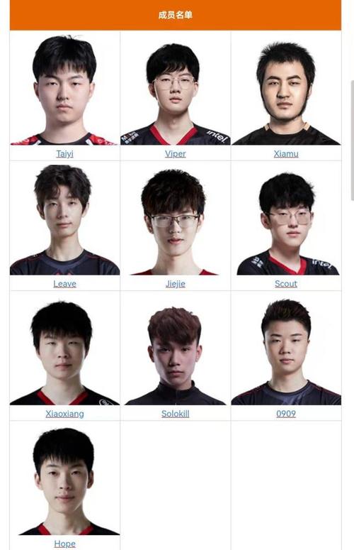 EDG战队参加英雄联盟世界赛的成员年龄一览表是多少?