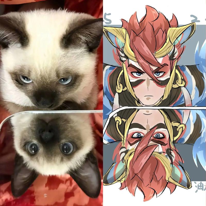 lol手游2025即将上线的英雄