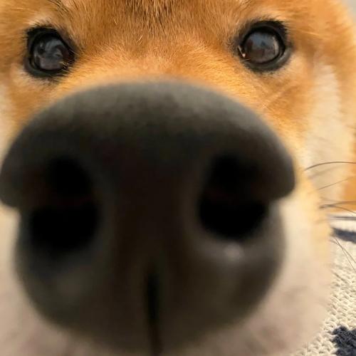 LOL璐璐的台词有哪些?