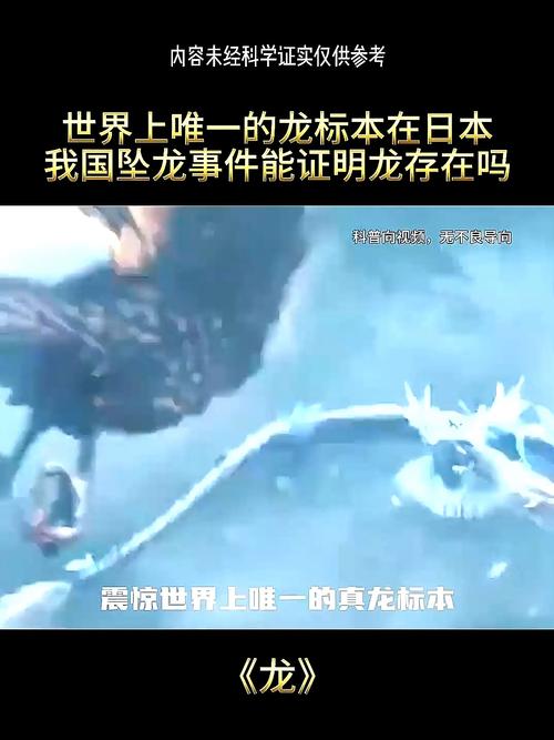 好多男生说“巨龙撞击”什么意思?