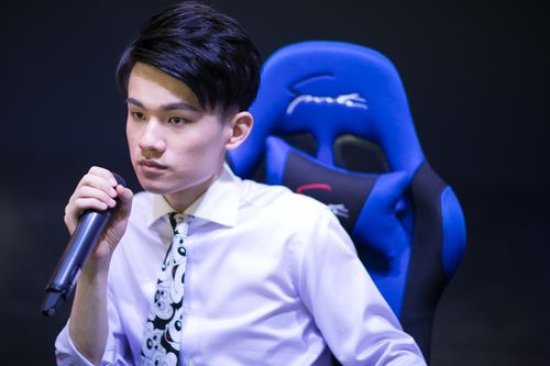 王者荣耀虎牙瓶子,从新手到高手的进阶之路