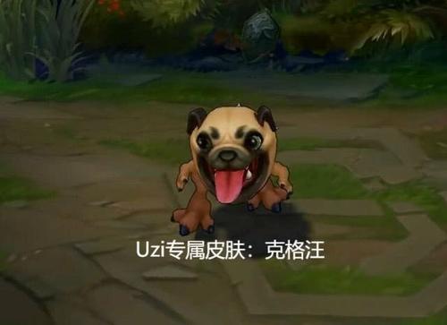 飞科为什么叫大飞