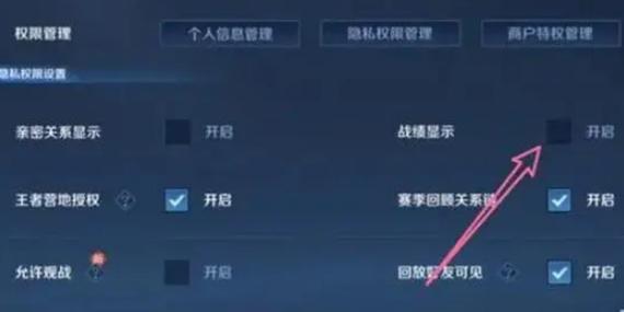 王者荣耀战绩如何设置只让他人单独查看?如何单独分享我的战绩?