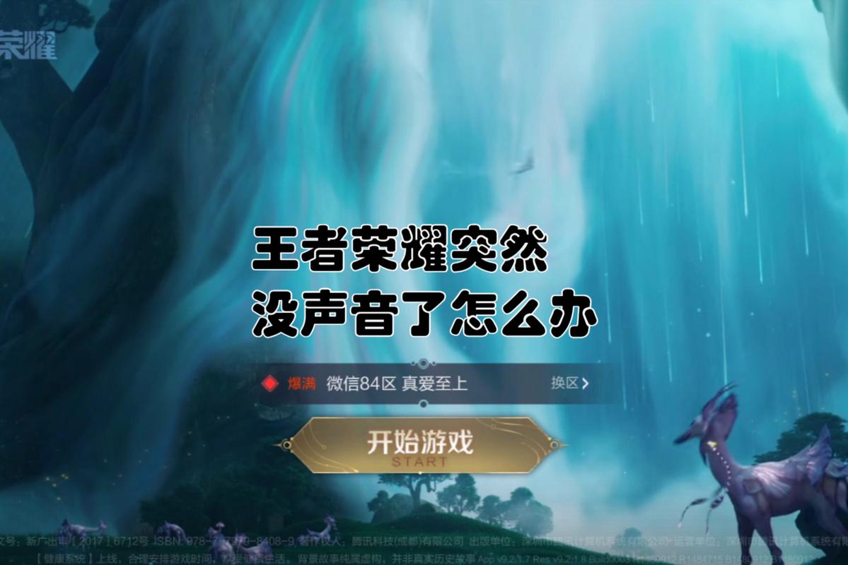 王者荣耀为什么角色没有声音了