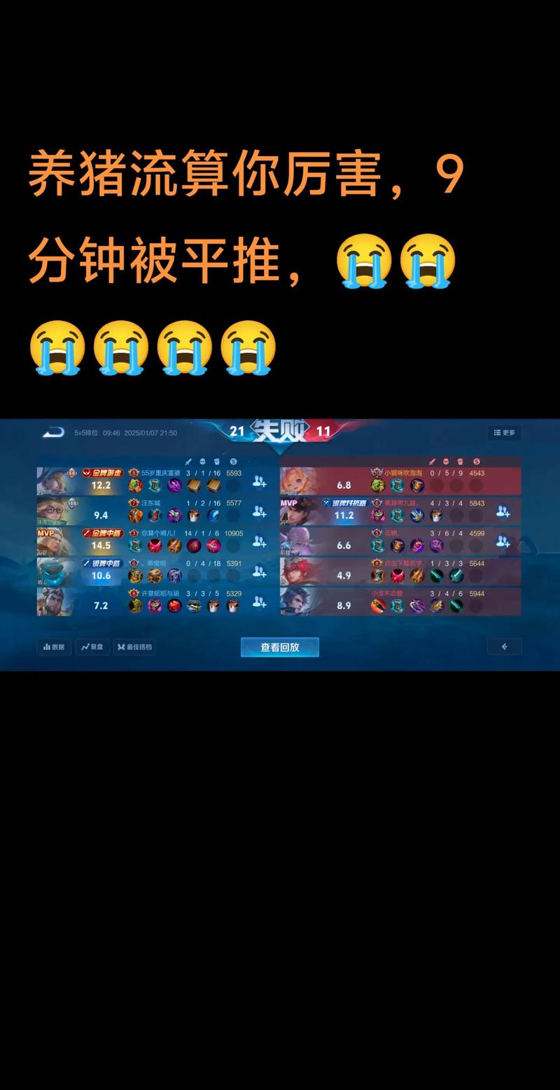 王者荣耀庄周出装与技巧全解析