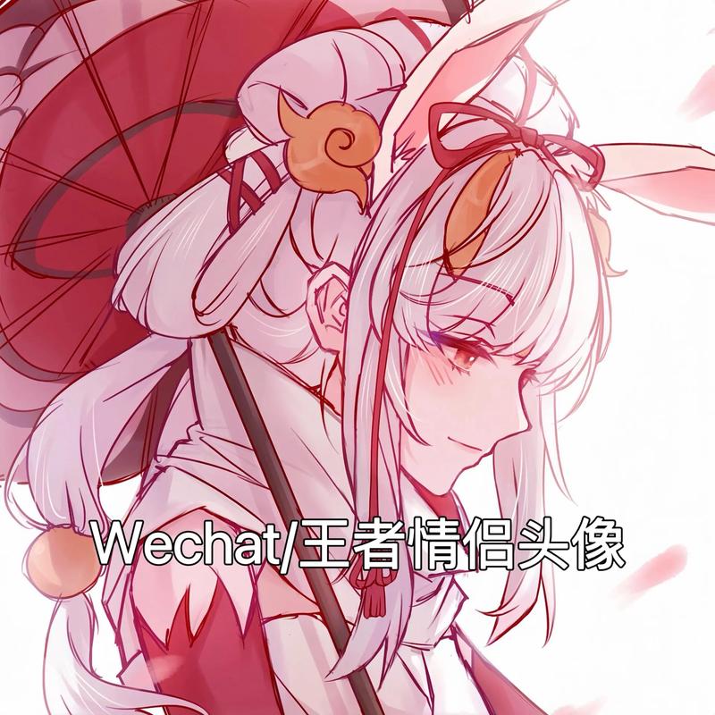 用过的一些王者情头和id(2)