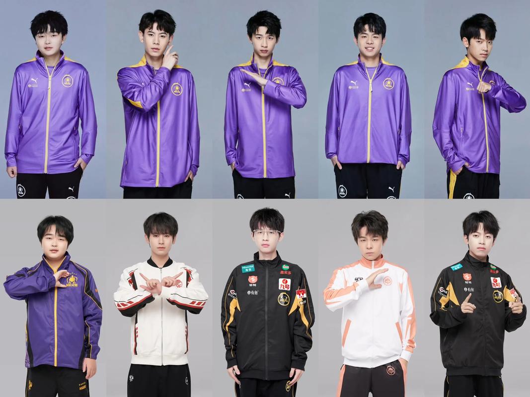 王者荣耀hero战队夏季赛成员有哪些