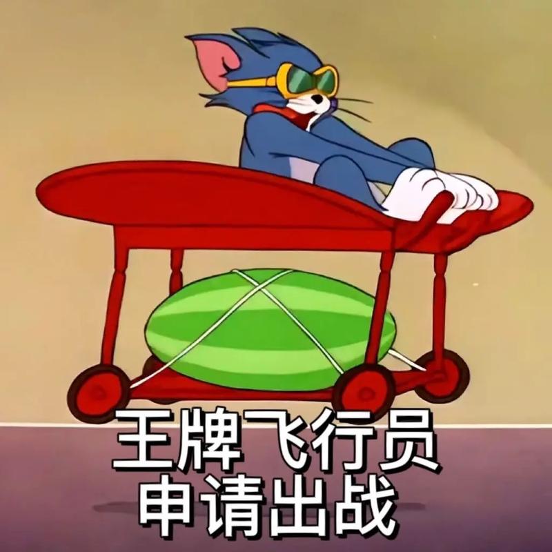 LOL王牌飞行员申请出战什么梗?