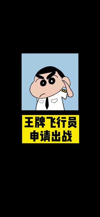 王牌飞行员申请出战是什么意思