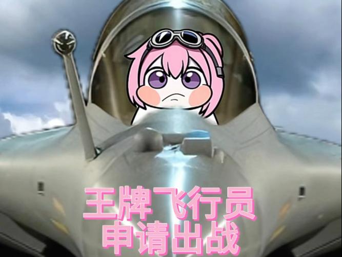德莱联盟王牌飞行员是什么梗