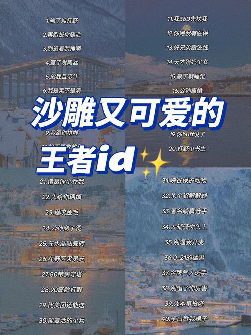 多少有点不一样的王者五黑网名