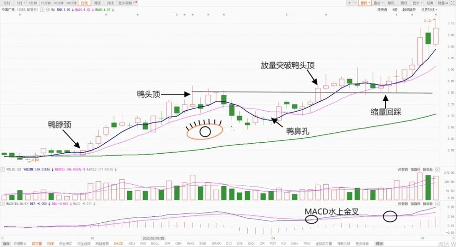 k头是什么意思啊