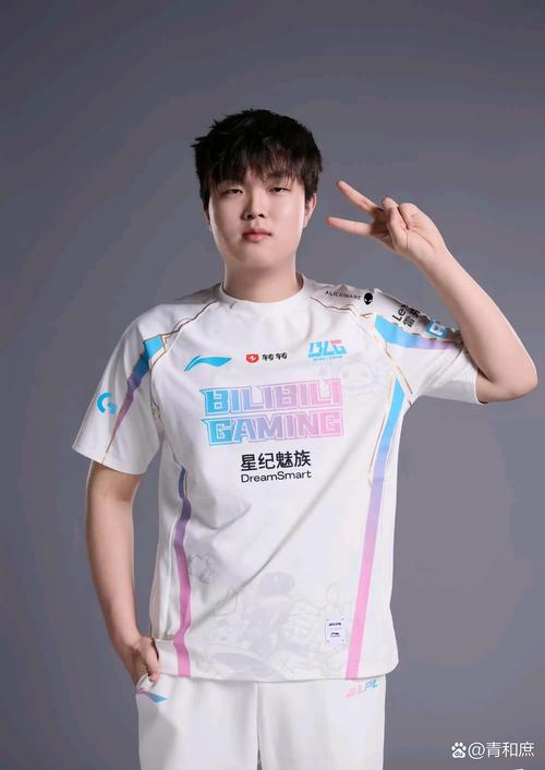 怎么在王者里找职业选手