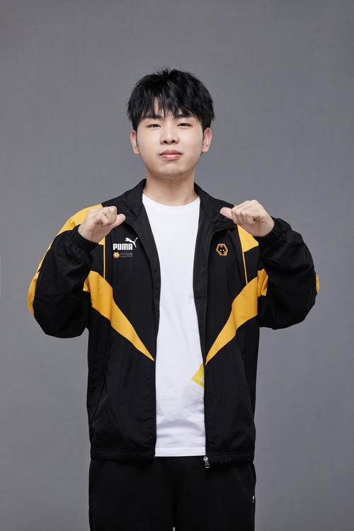 明星打王者荣耀都习惯用哪些游戏人物呢?