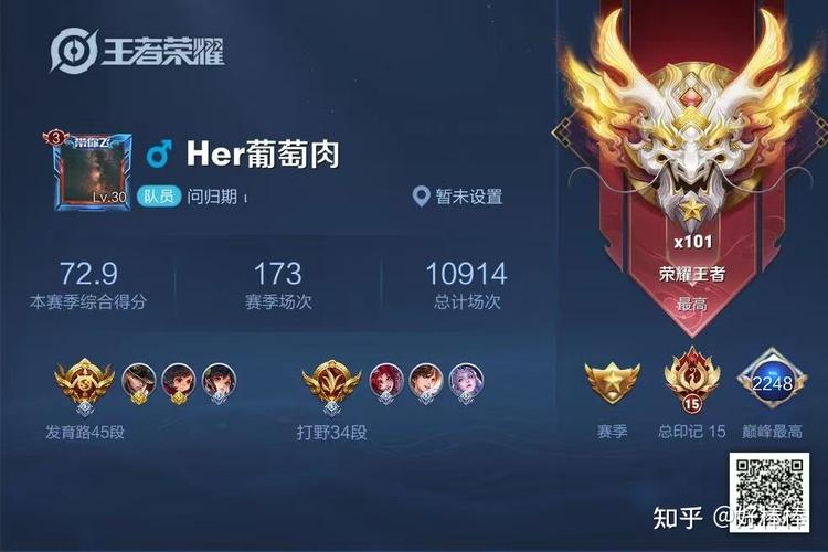 王者荣耀怎么查看历史比较高段位