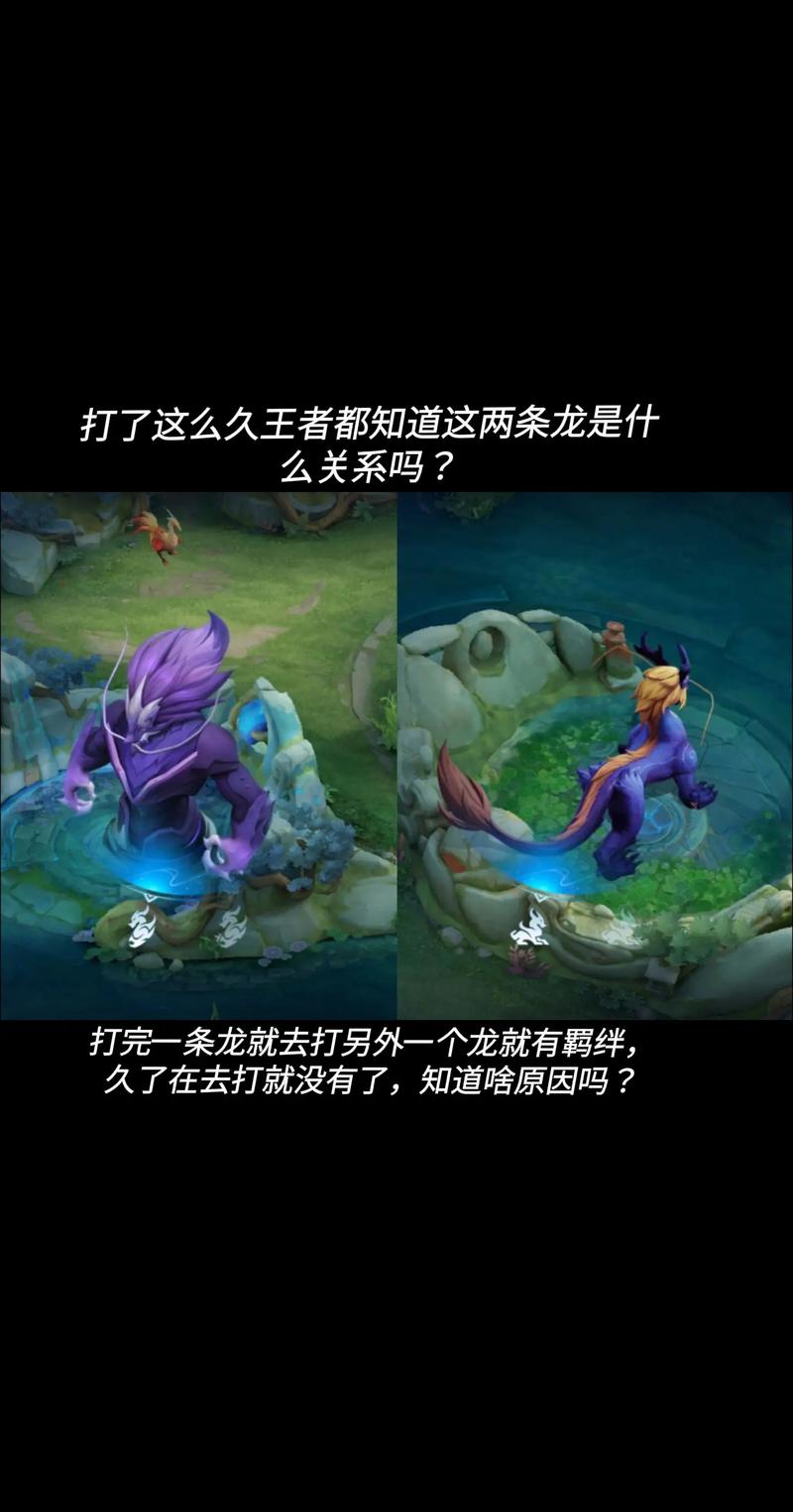 王者荣耀暴君和主宰有什么区别