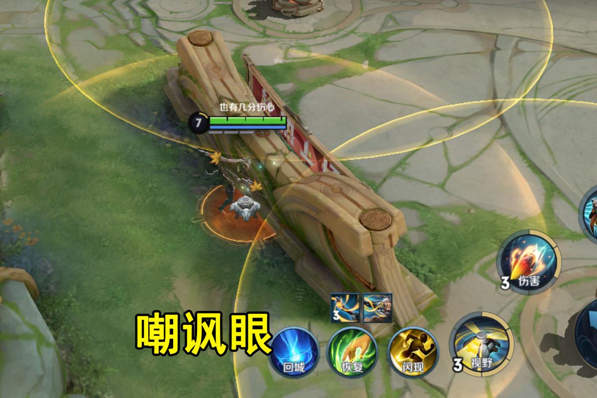 王者荣耀插眼怎么获得