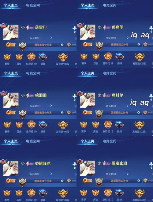 王者荣耀名字前面的数字什么意思